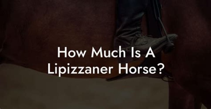 How much is a lipizzaner horse?