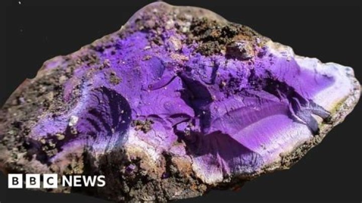 How much is tyrian purple worth?