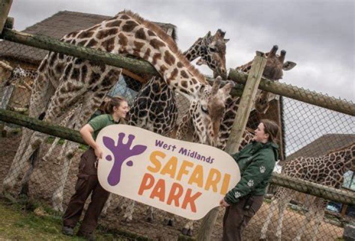 How much is west midlands safari park?