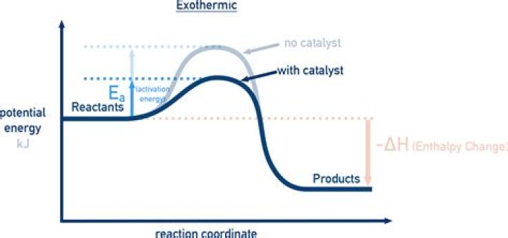How neutralization is exothermic?