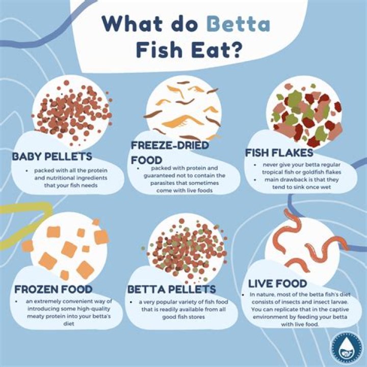 How often does she eat fish?