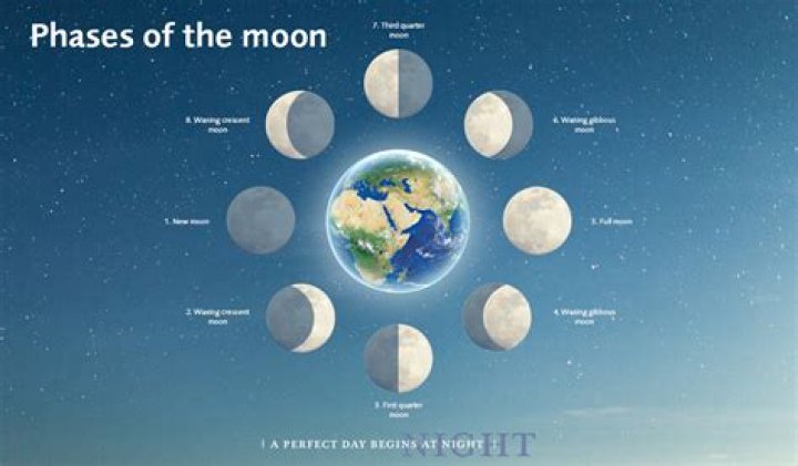 How phases does the moon have?
