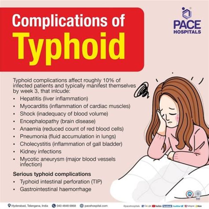 How salmonella typhi affect the body?
