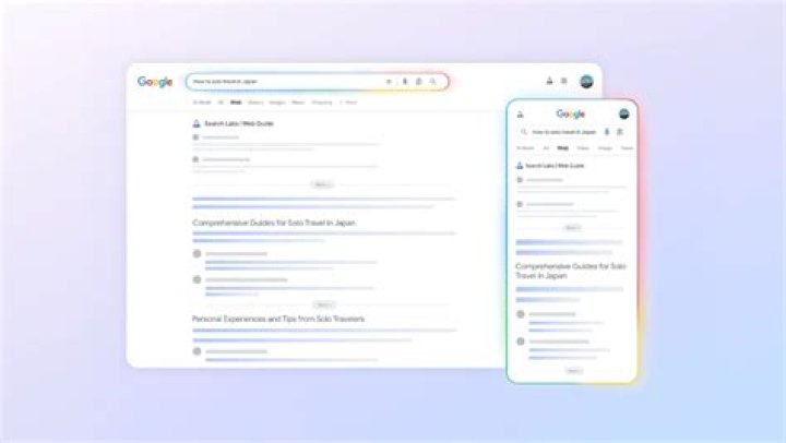 How search organizes information?