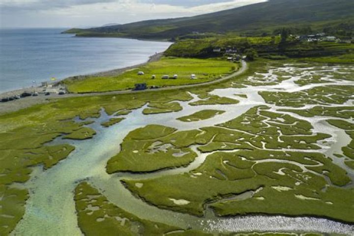 How sunderban delta is formed?
