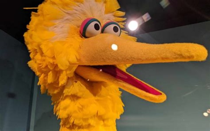 How tall is big bird?