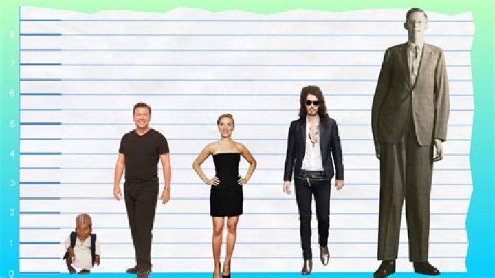How tall is ricky gervais?