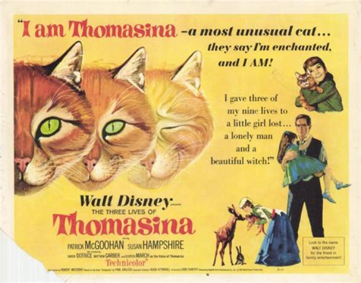 How tall is thomasina miers?