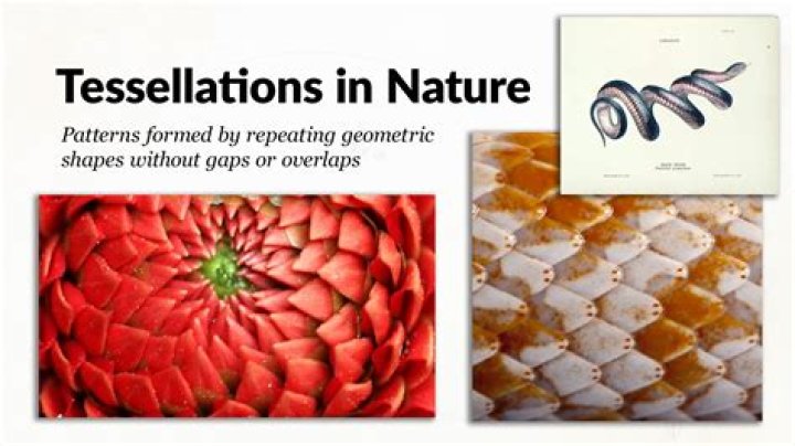 How tessellation is useful in real life?
