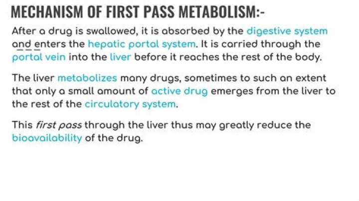 How the body metabolizes fat?