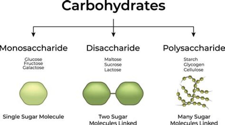 How to break down a disaccharide?