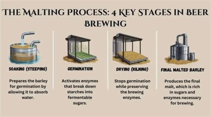 How to burtonized brewing water?