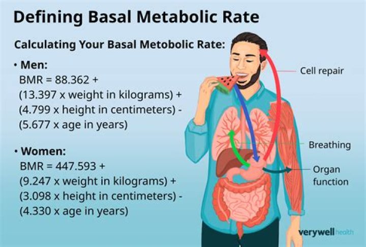 How to calculate basal metabolic rate?