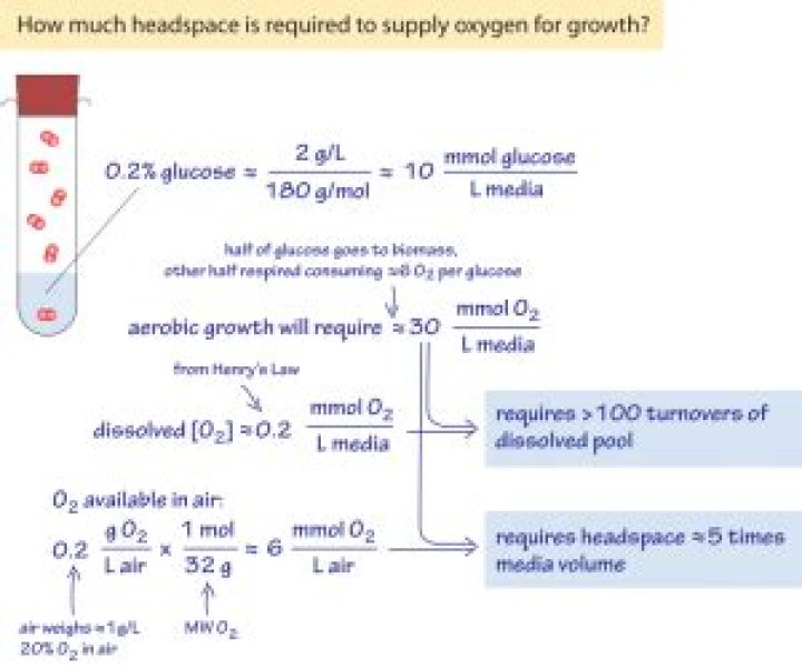How to calculate oxygen uptake?