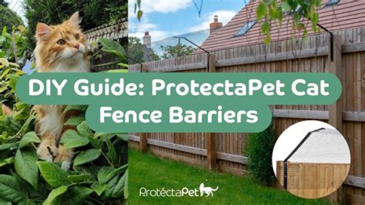 How to cat proof your garden?