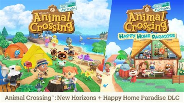How to catalog animal crossing?