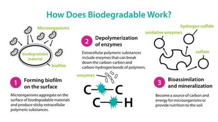 How to check biodegradability?