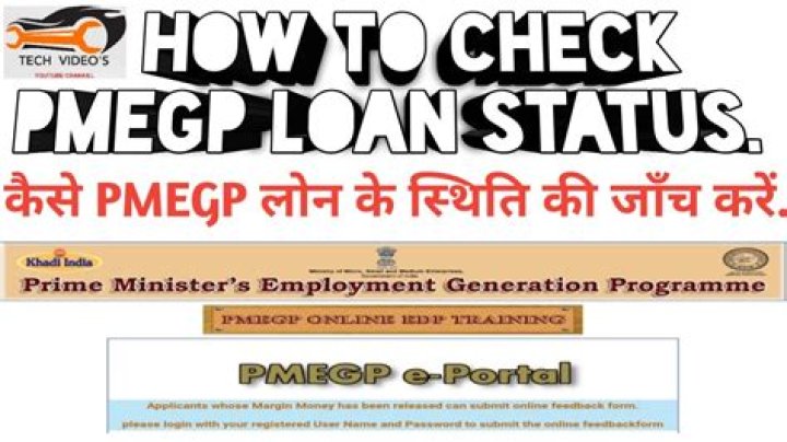 How to check pmegp application status?