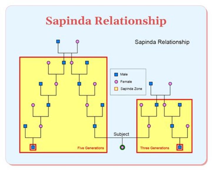 How to check sapinda relationship?
