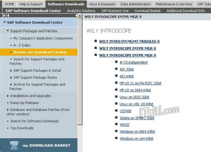 How to check wily introscope status?
