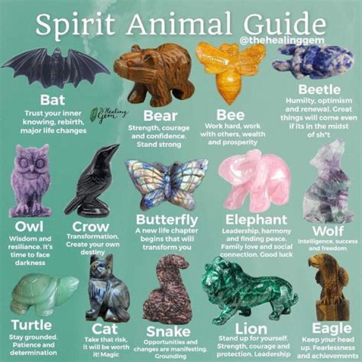How to find your spirit animal?