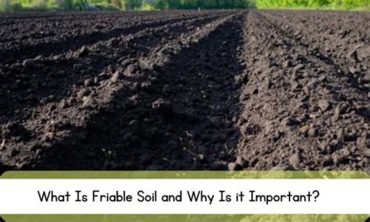 How to get friable soil?