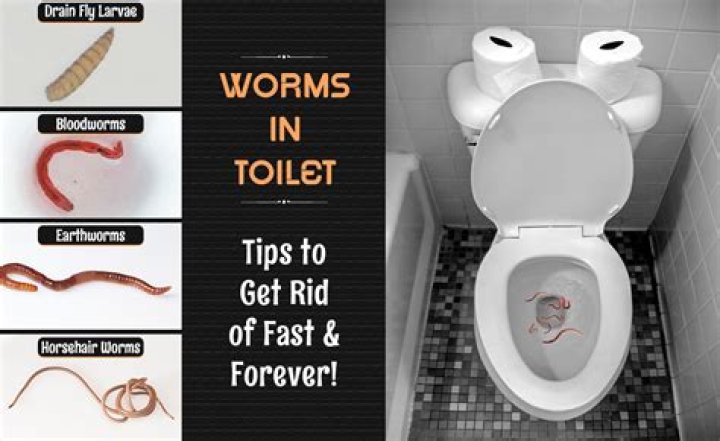 How to get rid of worms in humans?