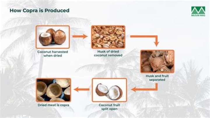 How to hydrogenate coconut oil?