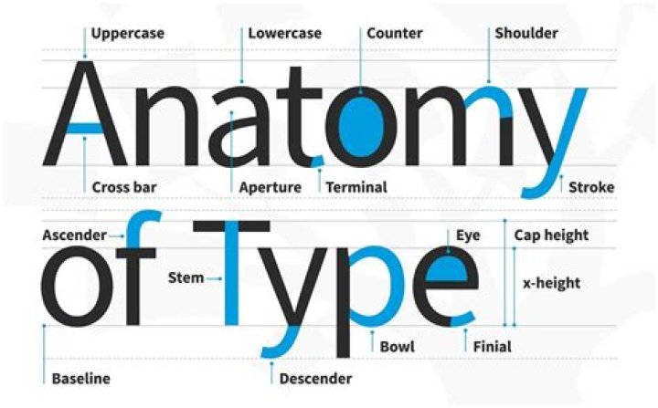 How to identify a typeface?