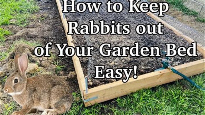How to keep bunnies out of garden?