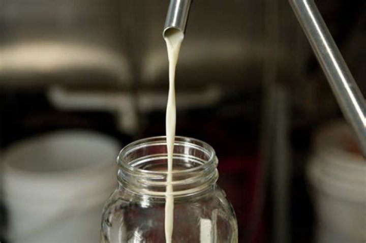 How to keep milk from spoiling?