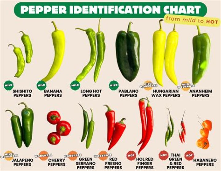 How to like peppers?