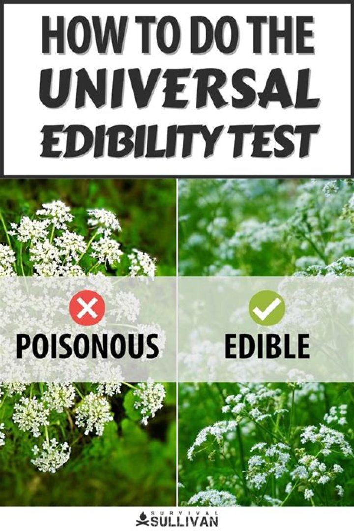 How to make universal edibility test?