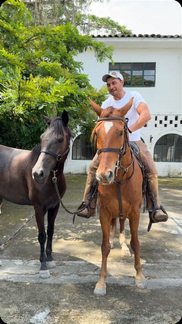 How to make your horse bombproof?