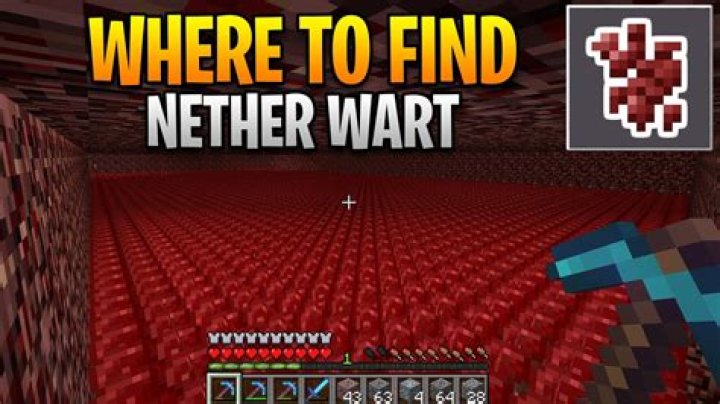 How to obtain nether wart?