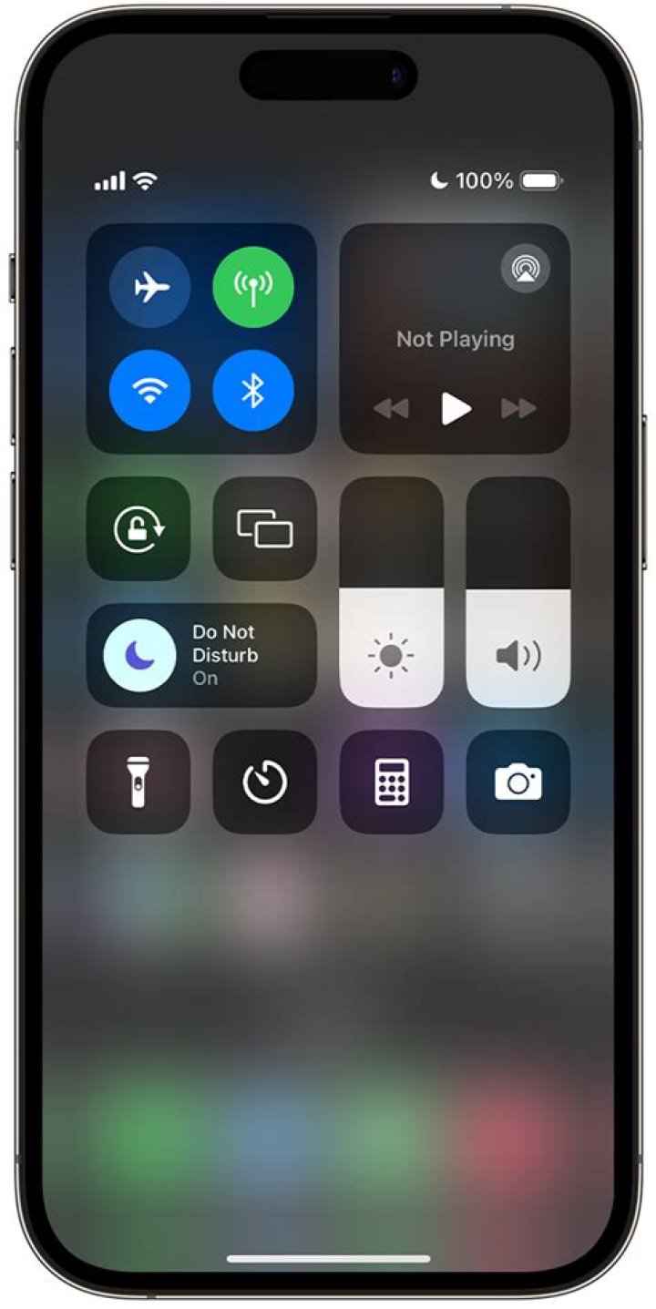 How to put phone in a sentence?