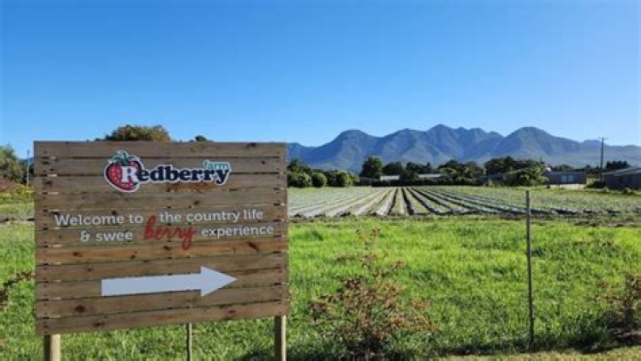 How to redberry pie runescape?