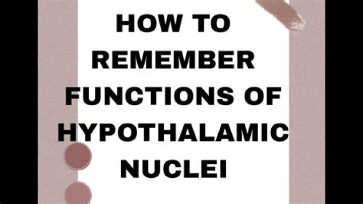 How to remember hypothalamic nuclei?