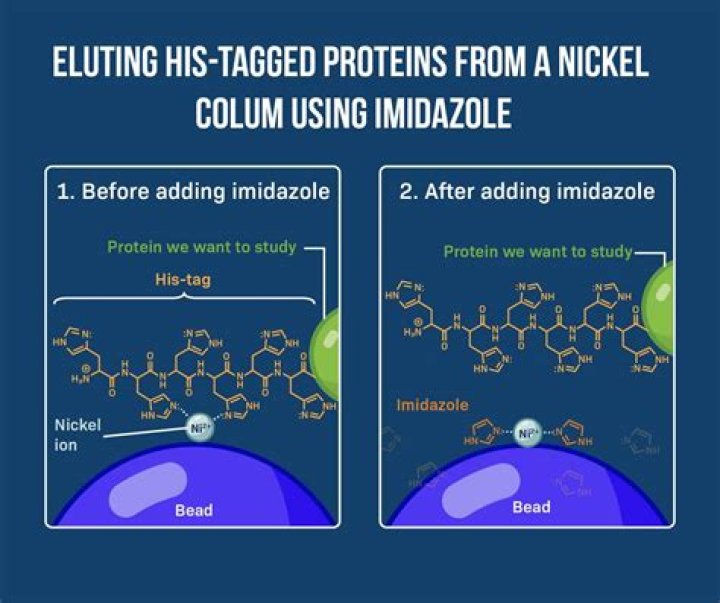 How to remove imidazole from nickel column?