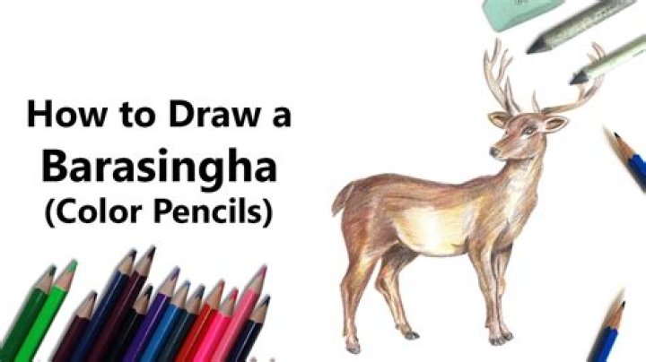 How to say barasingha?