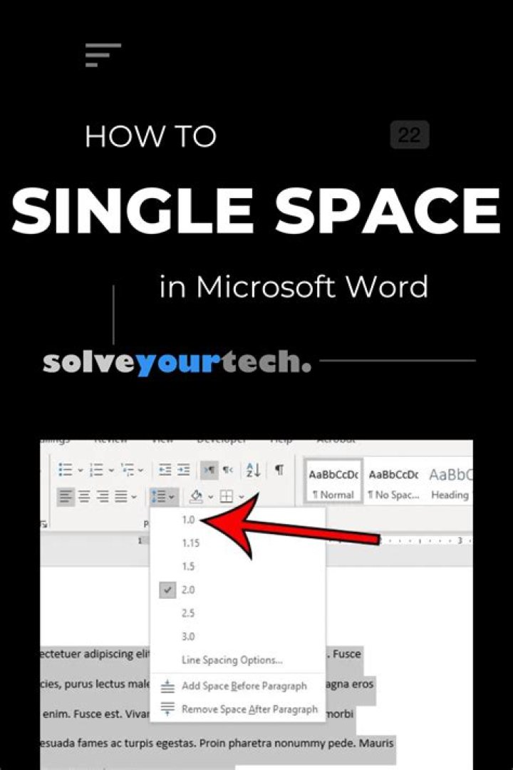 How to single space in word 2019?