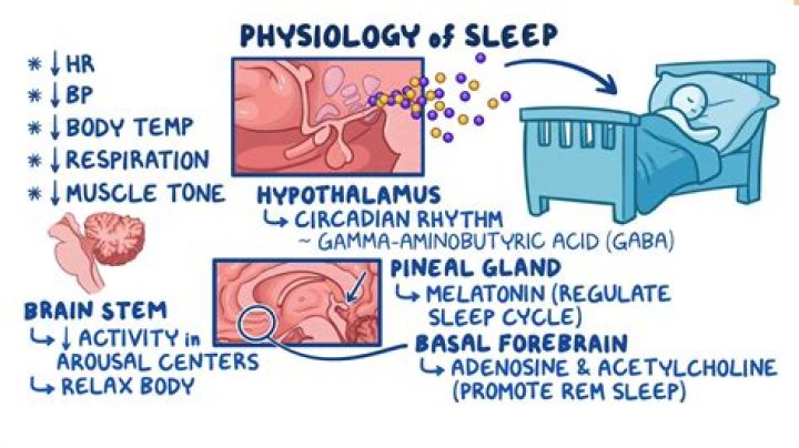 How to start biphasic sleep?