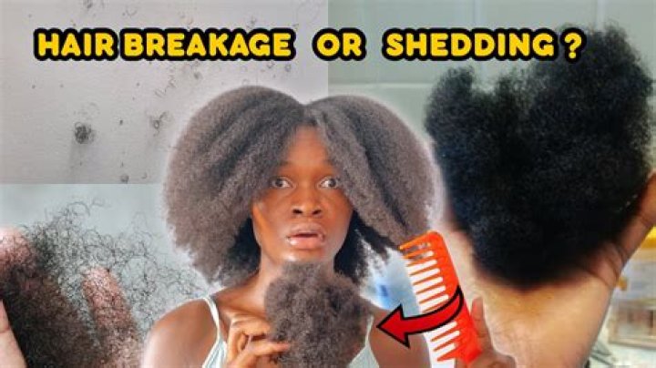 How to stop breakage in hair?