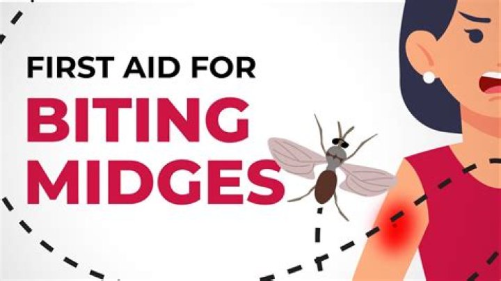 How to stop midge bites itching?