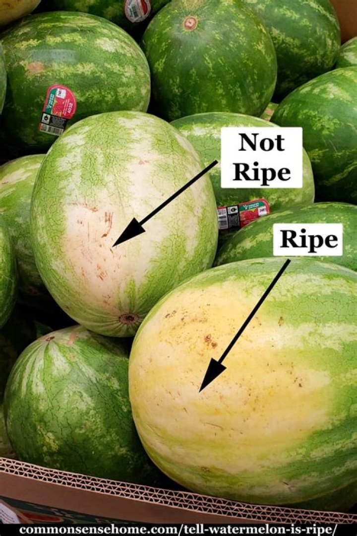How to tell when a casaba melon is ripe?