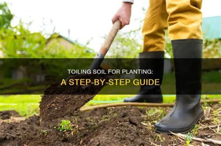 How to toil soil?