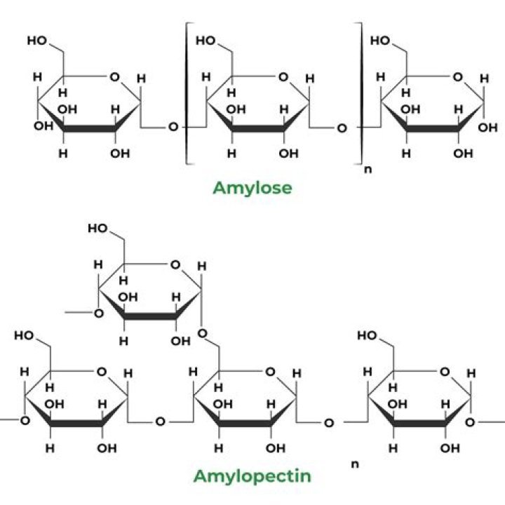 How to use amidon?