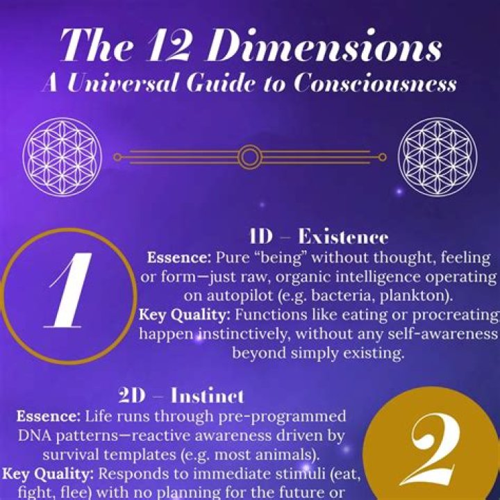 How to use consciousnesses in a sentence?