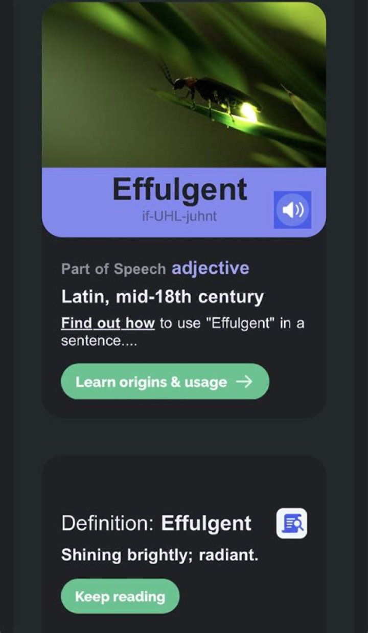 How to use effulgent?