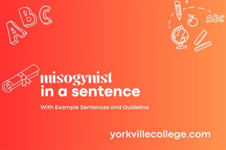 How to use misogynist in a sentence?
